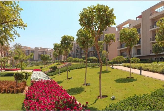 84786185 - صورة العقار 2