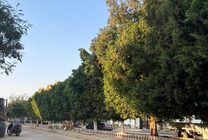 64892628 - صورة العقار 3