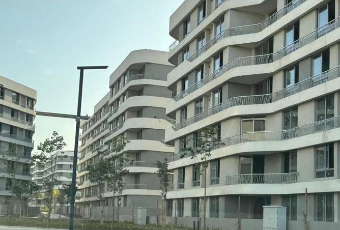 55507442 - صورة العقار 3