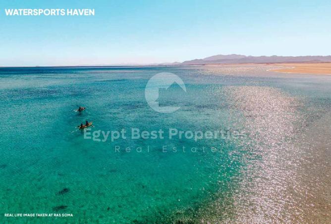 61682310 - Property Image 3