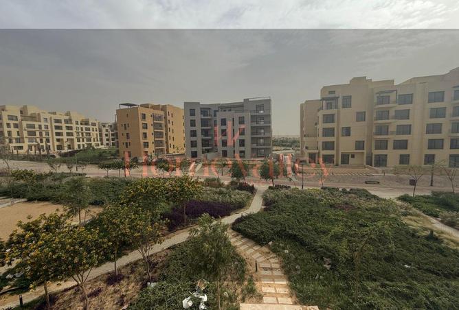 64644860 - صورة العقار 3