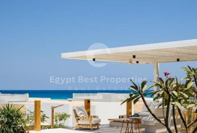 101784604 - Property Image 3