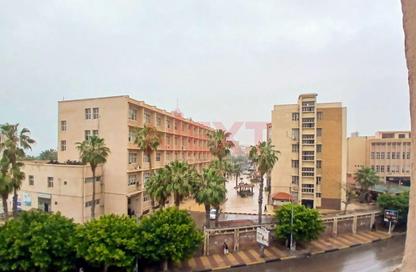 Apartment - 5 Bedrooms - 2 Bathrooms for sale in Al Geish Road - Azarita - Hay Wasat - Alexandria