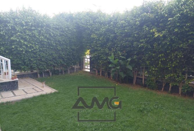 70359599 - صورة العقار 2