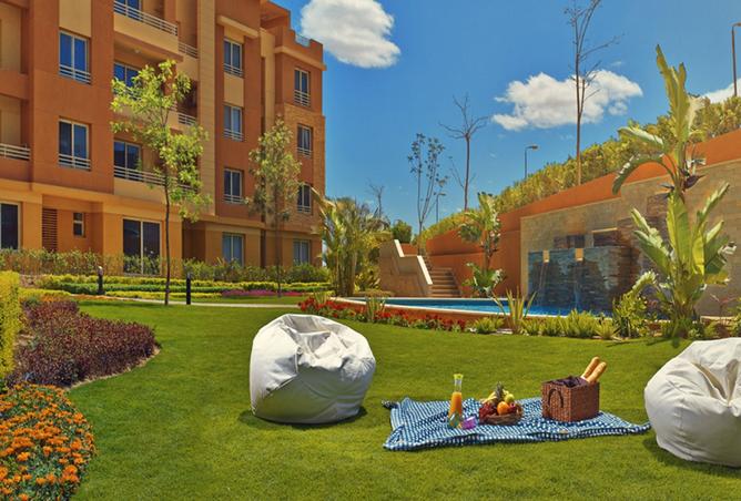 8422323 - Property Image 3