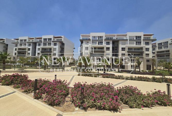 8593826 - Property Image 2