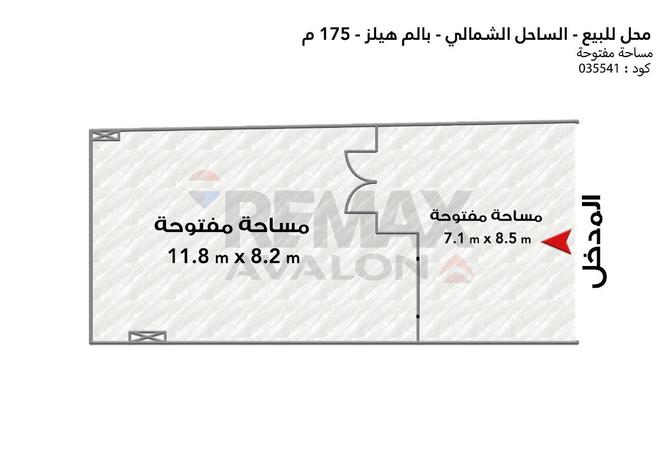 55508857 - صورة العقار 2