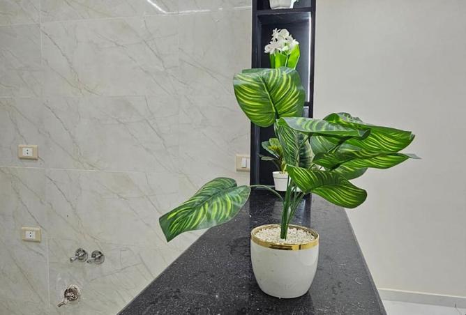 8614043 - صورة العقار 3