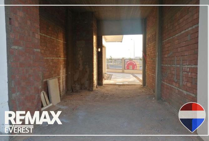 8633849 - Property Image 3