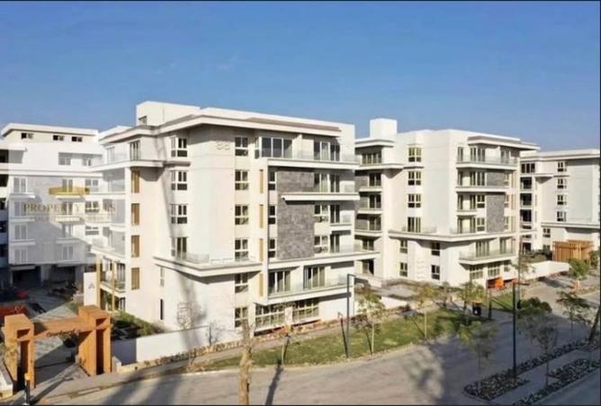 101202526 - Property Image 3