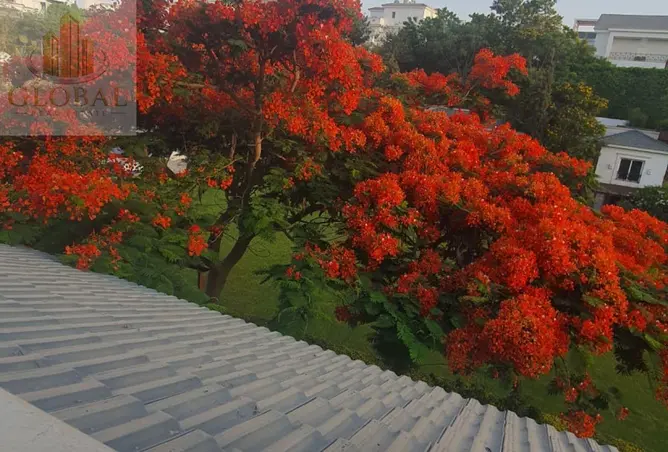 115452094 - صورة العقار 2