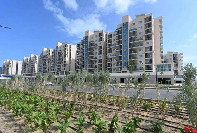 67740912 - Property Image 2