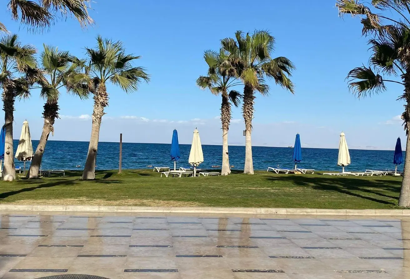 116498135 - الصورة الرئيسية للعقار