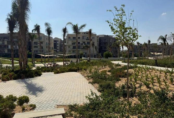 65916995 - Property Image 3