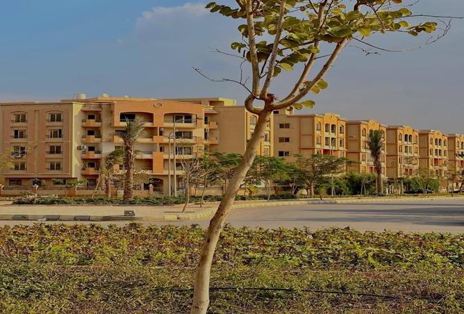 8618512 - Property Image 2