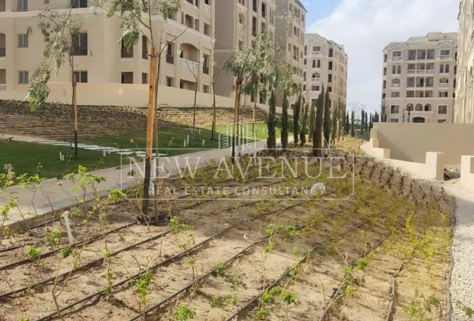 113252413 - صورة العقار 3