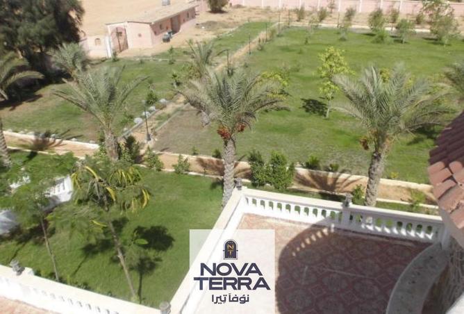 52721707 - صورة العقار 2