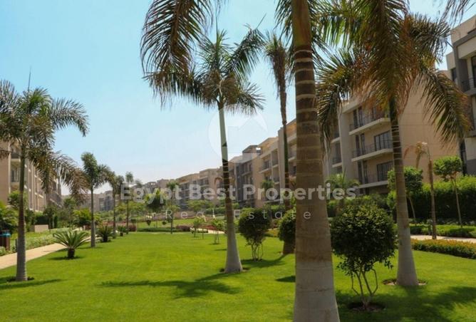 55754491 - صورة العقار 3