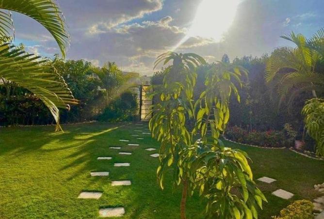 8518937 - صورة العقار 2