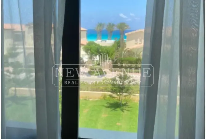 97427994 - صورة العقار 2