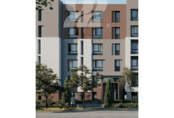 71650627 - Property Image 3