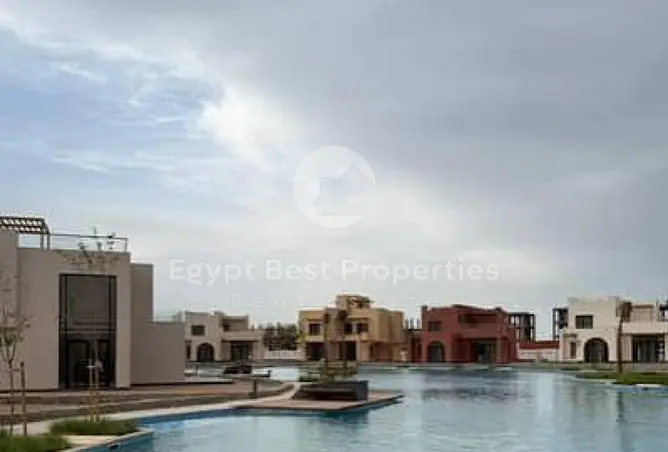 115716876 - Property Image 2