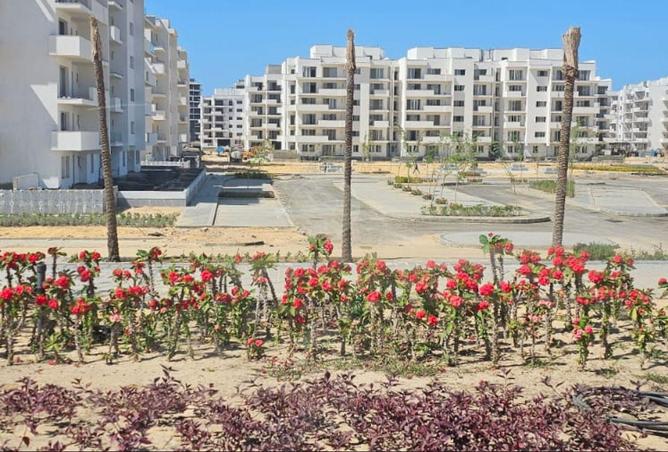 8699820 - Property Image 3