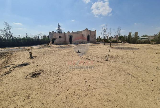 68786255 - صورة العقار 3