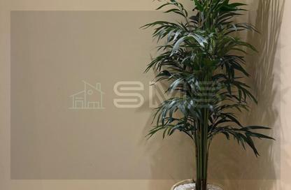 Apartment - 3 Bedrooms - 3 Bathrooms for rent in Villette - 5th Settlement Compounds - The 5th Settlement - New Cairo City - Cairo Apartment - 3 Bedrooms - 3 Bathrooms for rent in Villette - 5th Settlement Compounds - The 5th Settlement - New Cairo City - Cairo