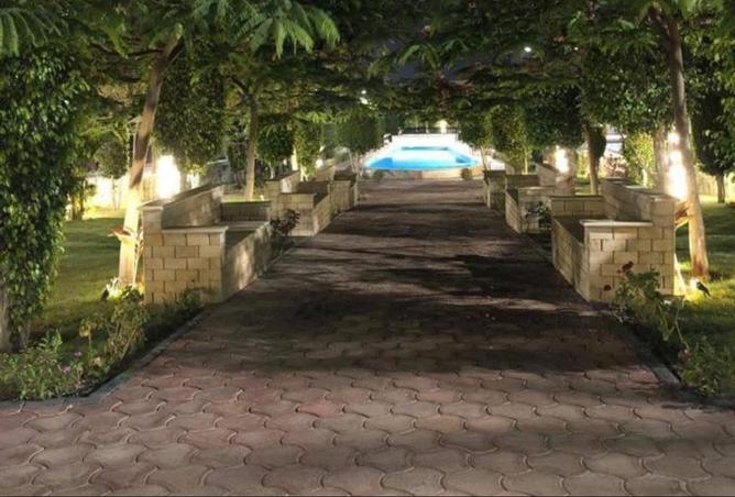 8480559 - صورة العقار 3