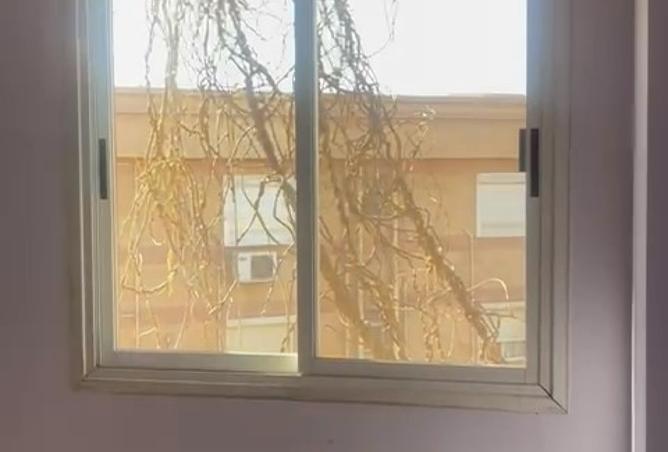 8429943 - صورة العقار 3