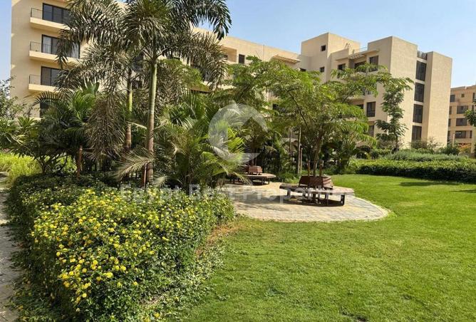 8413572 - Property Image 2