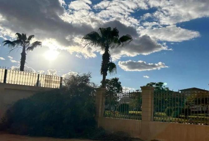 54495821 - Property Image 3