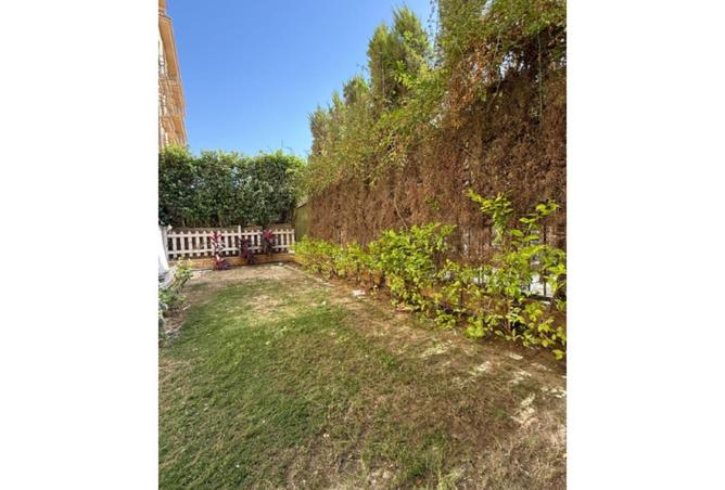 53987286 - Property Image 3