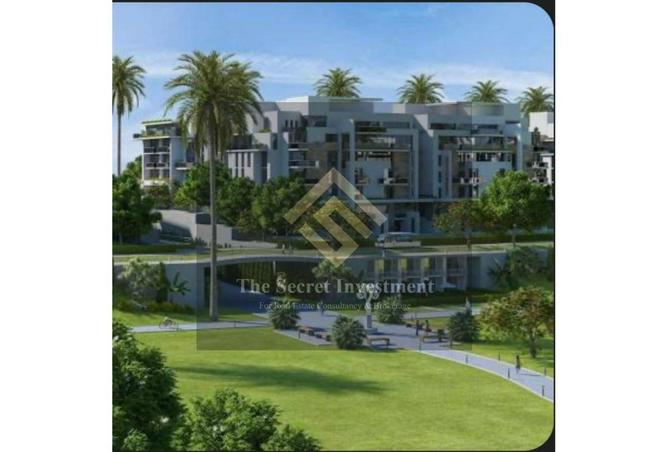 57979508 - Property Image 3