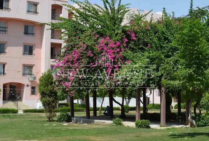 118813175 - Property Image 3