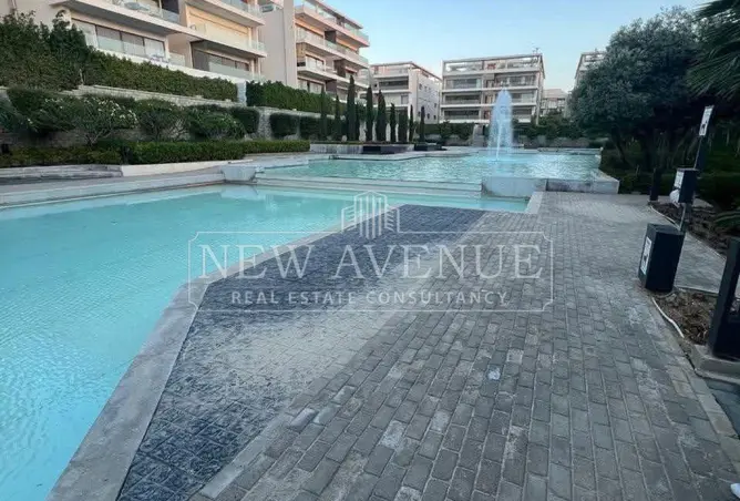 113258178 - Property Image 3
