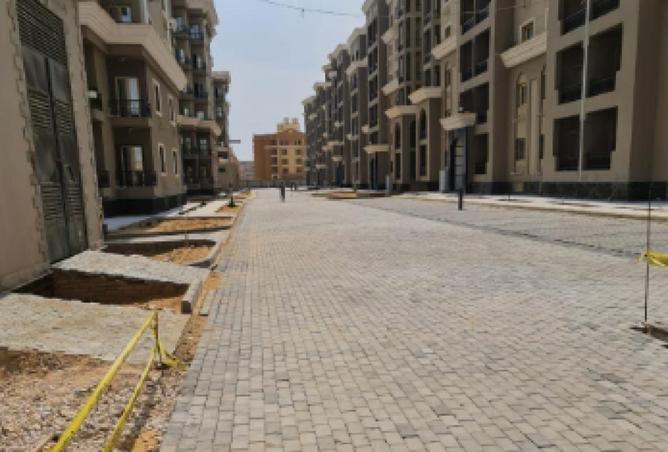 64391872 - Property Image 3