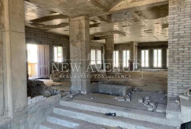 101479290 - Property Image 3