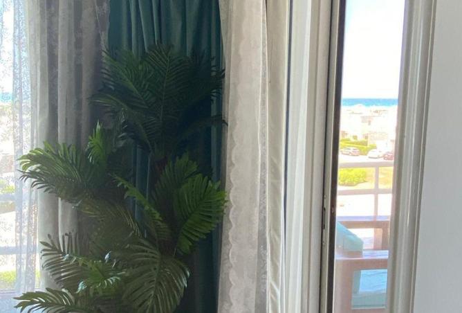 67478509 - صورة العقار 3