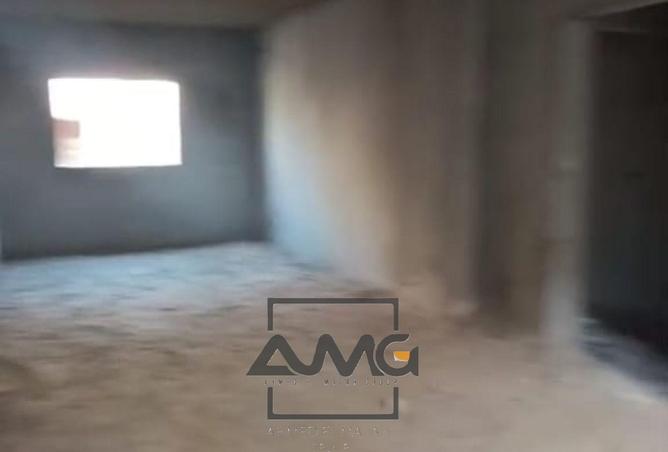 57492702 - Property Image 3