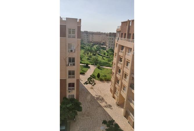 8392124 - صورة العقار 3