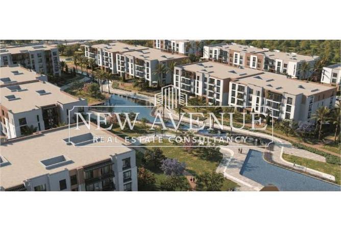 56252081 - Property Image 3