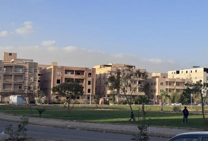 53736395 - صورة العقار 2