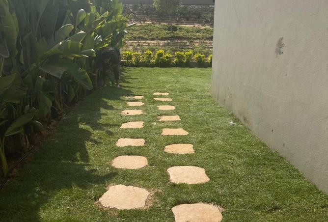 97728648 - صورة العقار 3