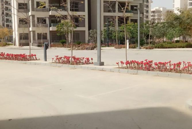109362829 - صورة العقار 2