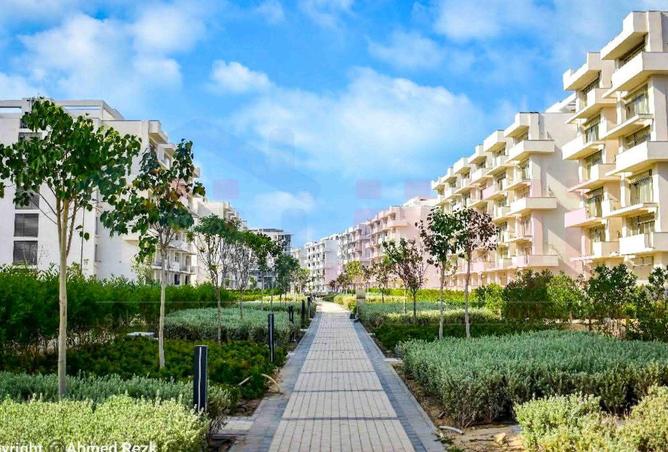 59491453 - صورة العقار 3