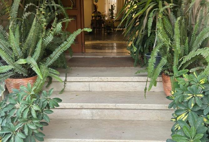 58001666 - Property Image 3