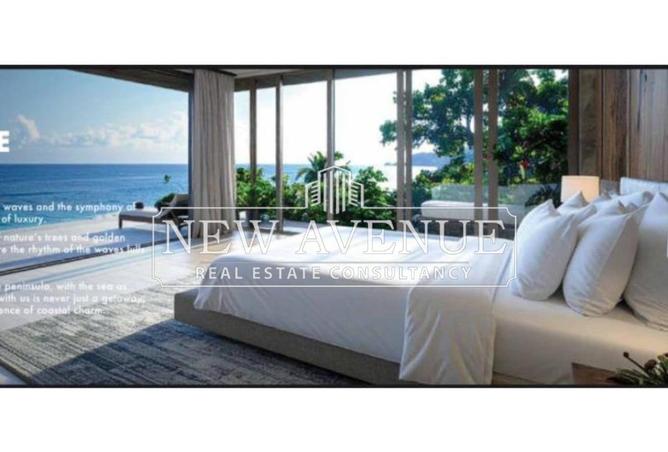 62884513 - صورة العقار 3