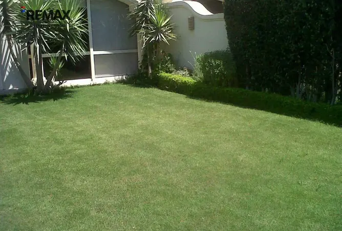 113545689 - Property Image 3